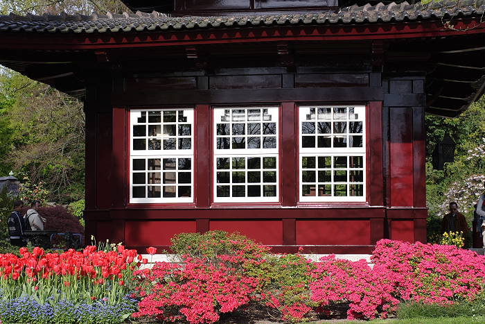 Lokation: Jap. Garten Leverkusen Kategorien: Fenster, Garten, Datum: 24.04.2005