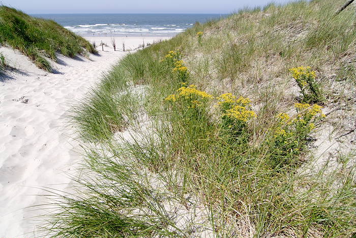 Lokation: Ostfriesland, Norderney Kategorien: Strand, Datum: 12.07.2005