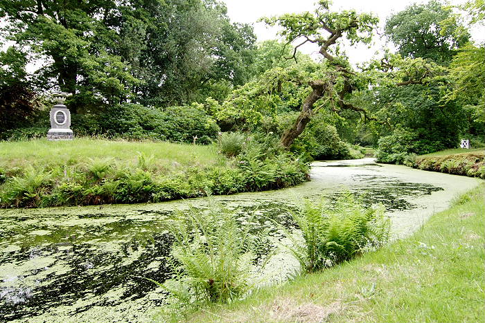 Lokation: Ostfriesland, Lütesburg Kategorien: Garten, Datum: 13.07.2005