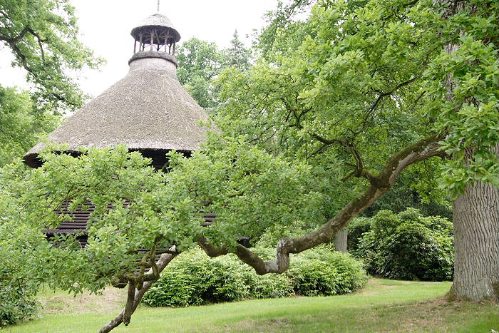 Lokation: Ostfriesland, Lütesburg Kategorien: Garten, Datum: 13.07.2005