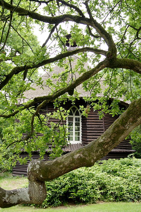 Lokation: Ostfriesland, Lütesburg Kategorien: Garten, Datum: 13.07.2005