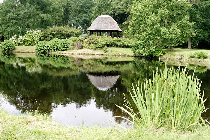 Lokation: Ostfriesland, Lütesburg Kategorien: Garten, Datum: 13.07.2005