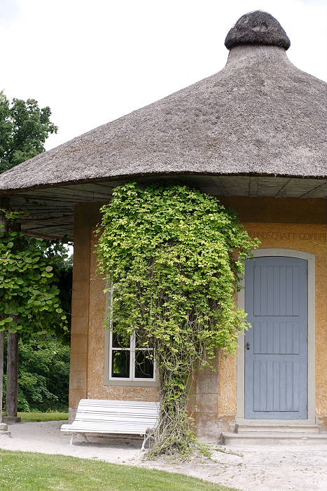 Lokation: Ostfriesland, Lütesburg Kategorien: Garten, Datum: 13.07.2005