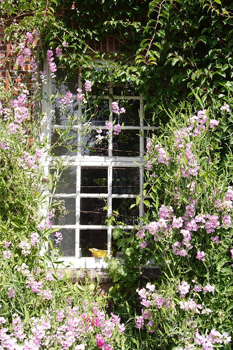 Lokation: Ostfriesland, Lütesburg Kategorien: Fenster, Datum: 13.07.2005