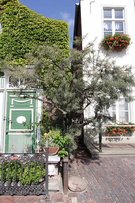 Lokation: Ostfriesland, Greetsiel Kategorien: Architektur, Datum: 17.07.2005