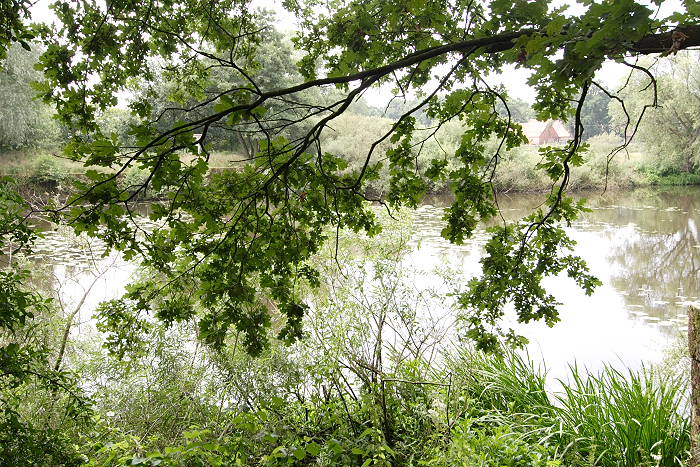 Lokation: Niedersachsen, Borkener Paradies Kategorien: Fluss, Datum: 24.07.2005