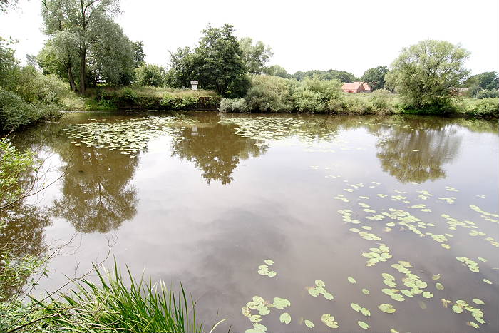 Lokation: Niedersachsen, Borkener Paradies Kategorien: Fluss, Datum: 24.07.2005