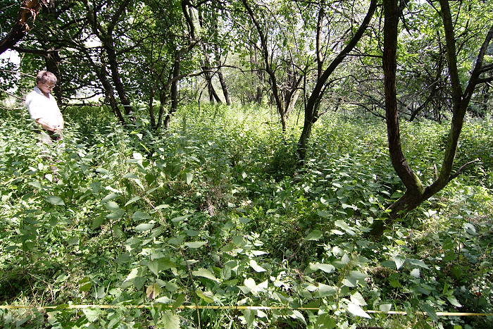 Kategorien: Dauerquadrat, Datum: 27.07.2005