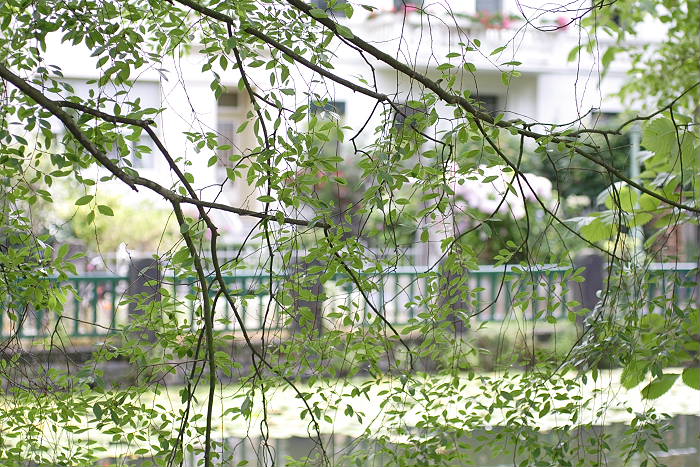 Lokation: Bonn, Botanischer Garten Kategorien: Gebäude, Park, Datum: 29.07.2005