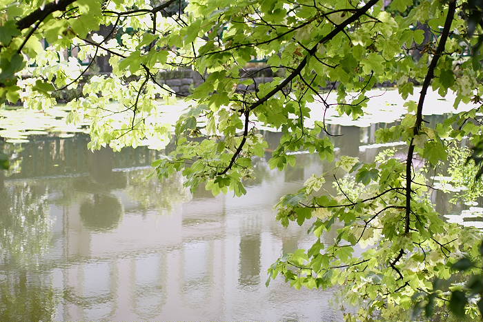 Lokation: Bonn, Botanischer Garten Kategorien: Gebäude, Park, Datum: 29.07.2005