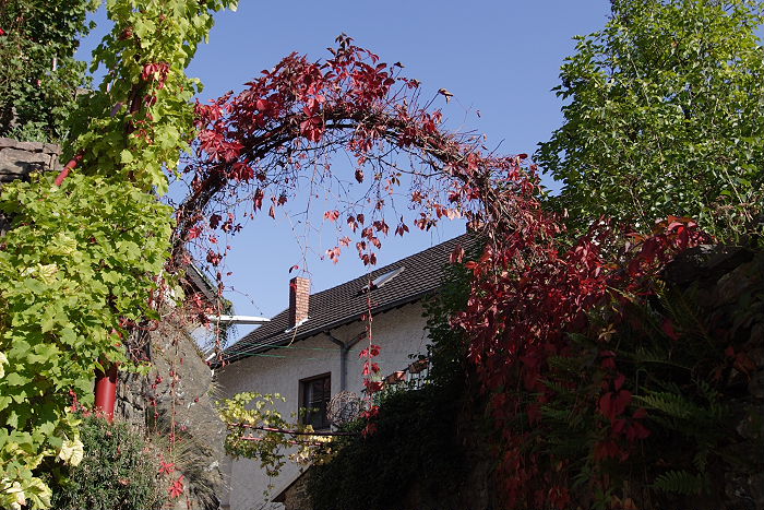 Lokation: Ahrtal Kategorien: Herbst, Datum: 11.10.2005