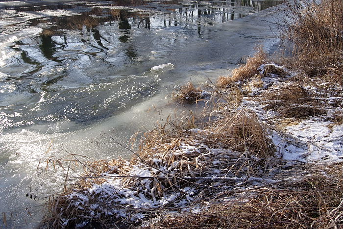 Lokation: Bad Neuenahr Kategorien: Fluss, Datum: 29.01.2006