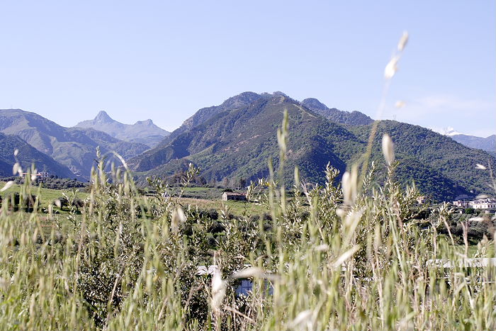 Lokation: Sizilien, Ätna Kategorien: Geomorphologie, Datum: 15.04.2006