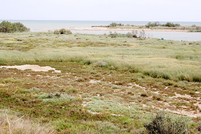 Lokation: Sizilien, Oasi del Simeto Kategorien: Fluss, Datum: 19.04.2006