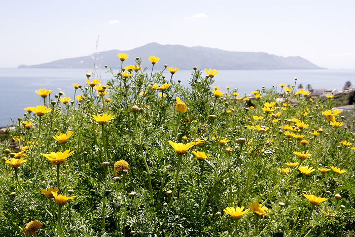 Lokation: Sizilien, Salina Kategorien: Meer, Datum: 20.04.2006