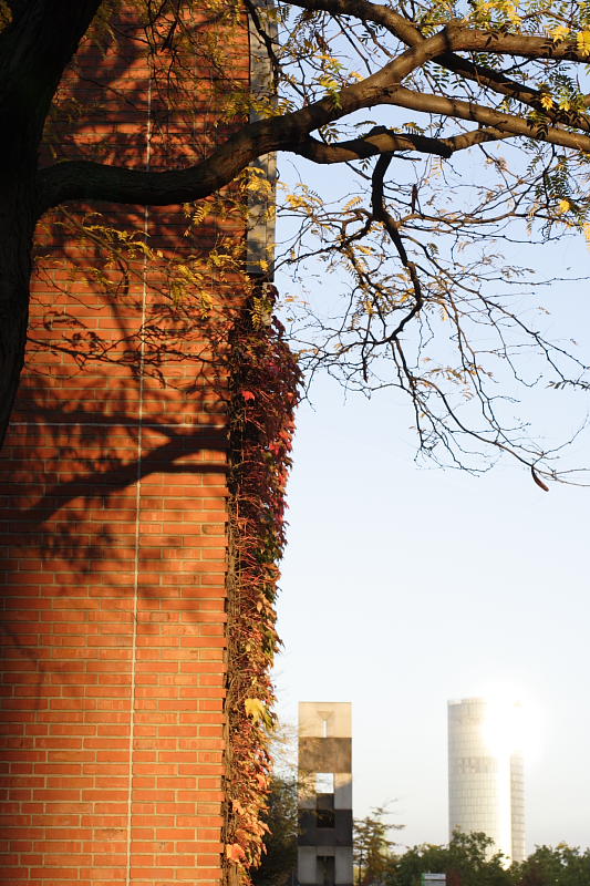 Kategorien: Datum: 06.10.2007