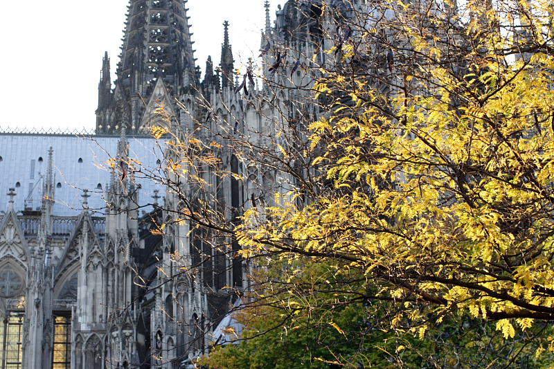 Kategorien: Datum: 06.10.2007