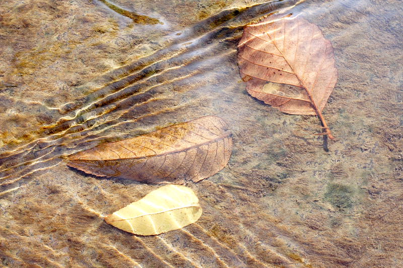 Kategorien: Datum: 07.10.2007