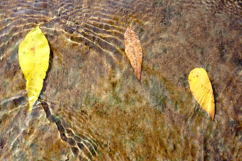 Kategorien: Datum: 07.10.2007