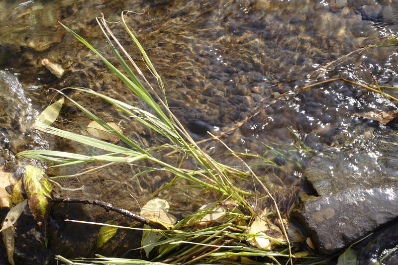 Kategorien: Datum: 07.10.2007