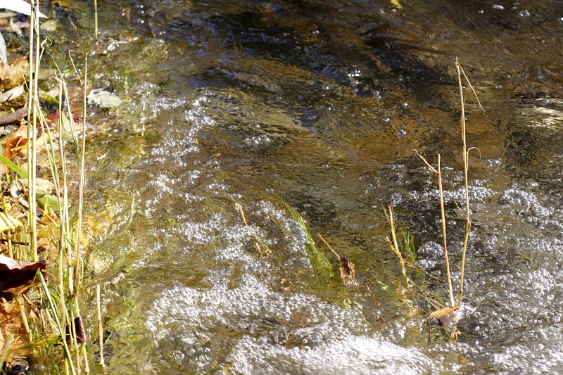 Kategorien: Datum: 07.10.2007