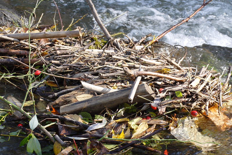 Kategorien: Datum: 07.10.2007