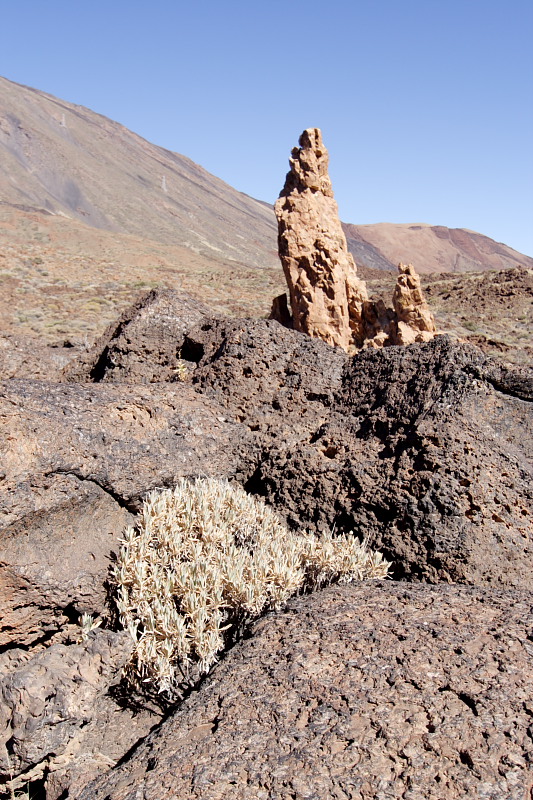 Canadas, Lokation: Spanien | Canarias | Villaflor | Canadas Kategorien: Datum: 27.11.2007