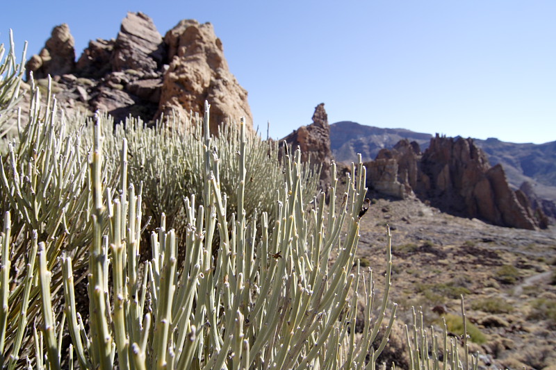 Canadas, Lokation: Spanien | Canarias | Villaflor | Canadas Kategorien: Datum: 27.11.2007