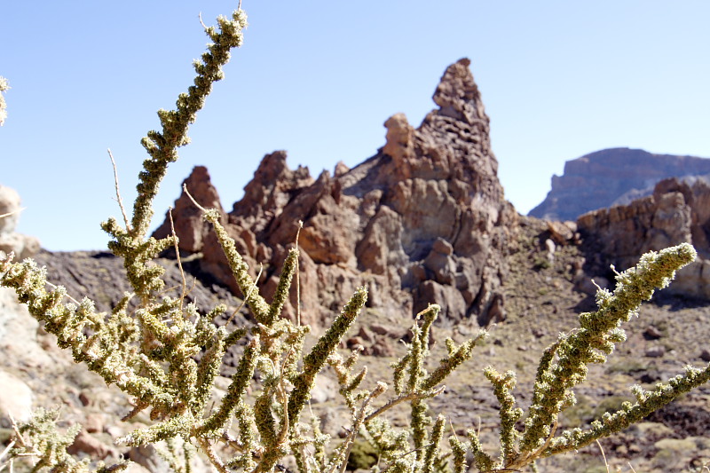 Canadas, Lokation: Spanien | Canarias | Villaflor | Canadas Kategorien: Datum: 27.11.2007