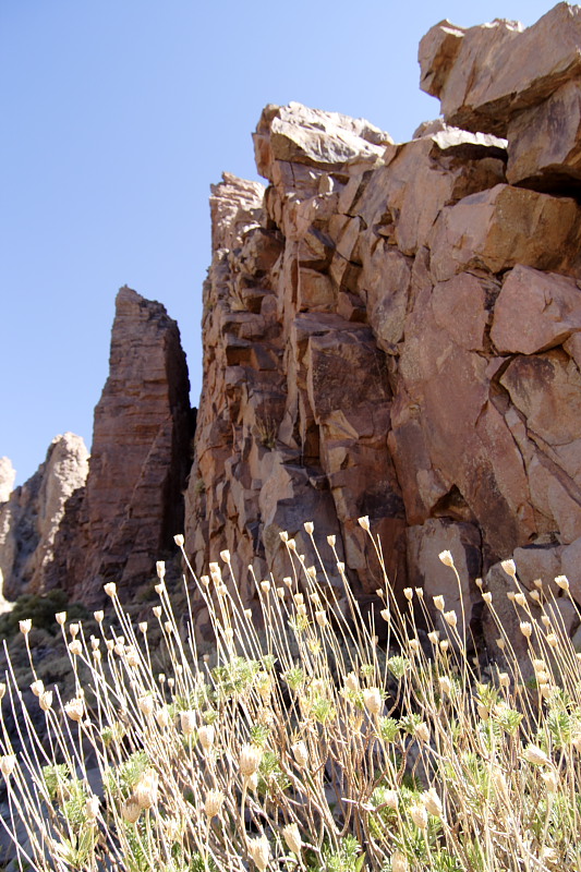 Canadas, Lokation: Spanien | Canarias | Villaflor | Canadas Kategorien: Datum: 27.11.2007