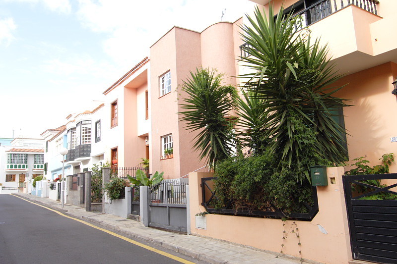 La Laguna, Lokation: Spanien | Canarias | La Laguna | La Laguna Kategorien: Datum: 28.11.2007