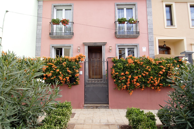 La Laguna, Lokation: Spanien | Canarias | La Laguna | La Laguna Kategorien: Datum: 28.11.2007