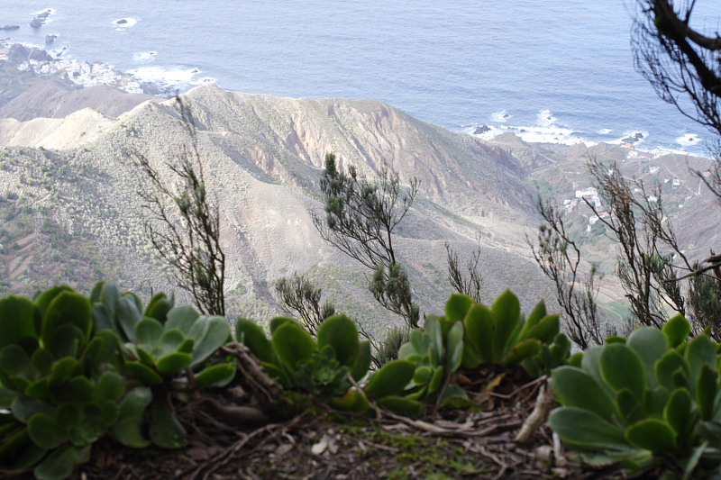 Lokation: Spanien | Canarias | El Draguillo | El Draguillo Kategorien: Datum: 01.12.2007