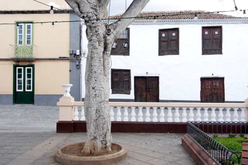 Lokation: Spanien | Canarias | La Tierra Del Trigo | Tanque Kategorien: Datum: 02.12.2007