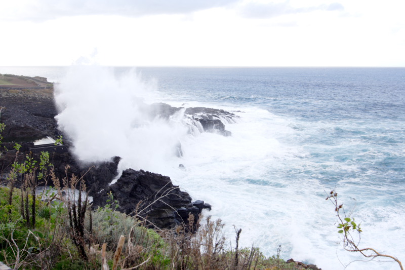 Lokation: Spanien | Canarias | Buenavista Del Norte | Tanque Kategorien: Datum: 02.12.2007