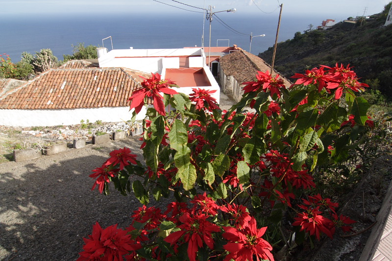 Lokation: Spanien | Canarias | Casa Amarilla | Las Cruces Kategorien: Datum: 03.12.2007