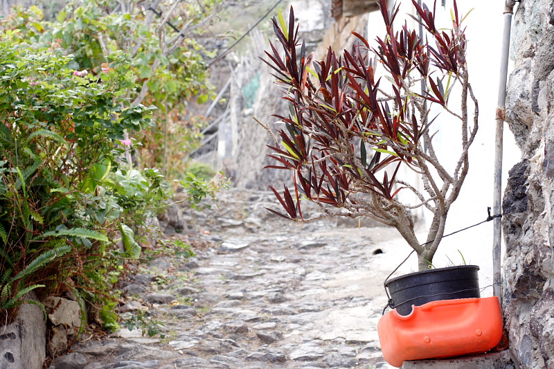 Lokation: Spanien | Canarias | Caleta De Silos | Las Cruces Kategorien: Datum: 03.12.2007