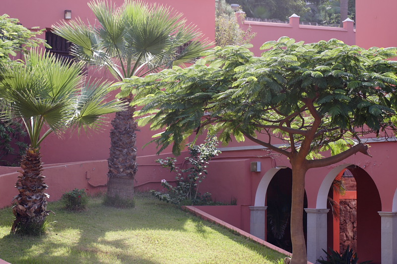 Lokation: Spanien | Canarias | Caleta De Silos | Garachico Kategorien: Datum: 03.12.2007