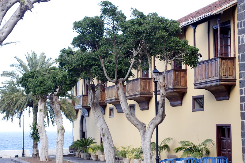 Lokation: Spanien | Canarias | Caleta De Silos | Garachico Kategorien: Datum: 03.12.2007