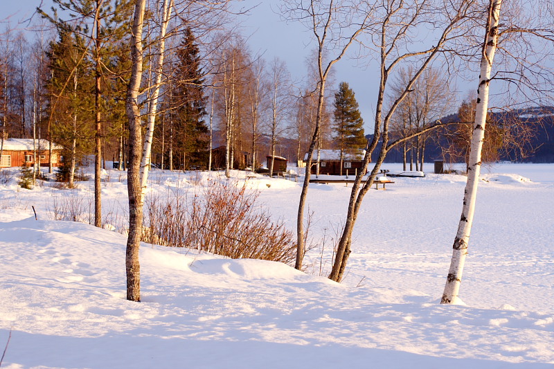 Lokation: Norwegen | Hedmark | Arneberg | Harby Kategorien: Datum: 27.02.2008