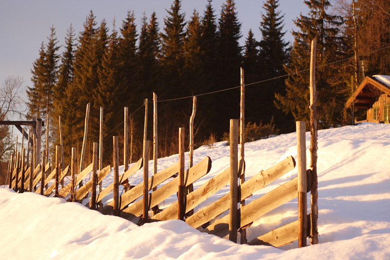 Lokation: Norwegen | Hedmark | Arneberg | Harby Kategorien: Datum: 27.02.2008