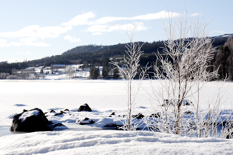 Lokation: Norwegen | Hedmark | Arneberg | Arneberg Kategorien: Datum: 28.02.2008