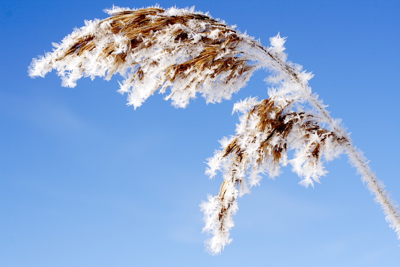 Lokation: Norwegen | Hedmark | Arneberg | Arneberg Kategorien: Datum: 28.02.2008