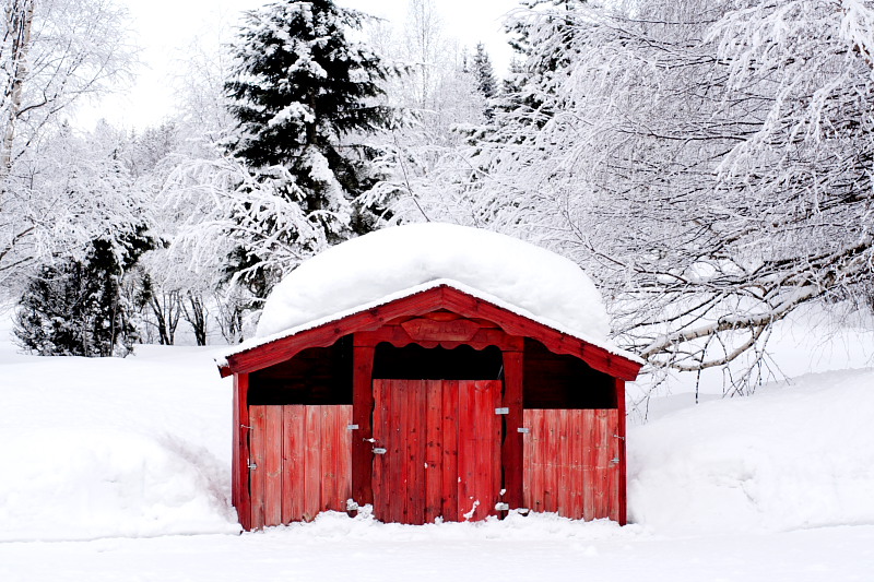 Lokation: Norwegen | Hedmark | Arneberg | Harby Kategorien: Datum: 02.03.2008