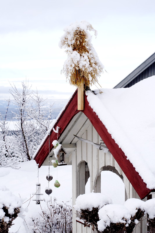 Lokation: Norwegen | Hedmark | Arneberg | Harby Kategorien: Datum: 02.03.2008