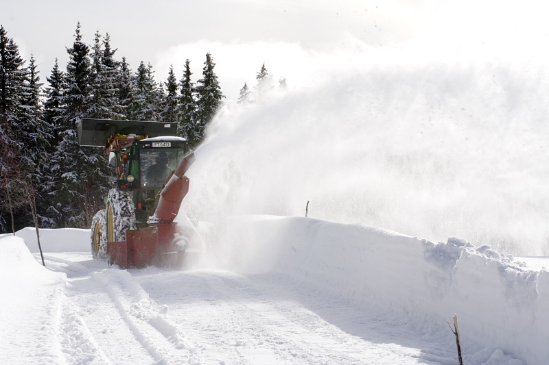 Lokation: Norwegen | Hedmark | Arneberg | Harby Kategorien: Datum: 02.03.2008