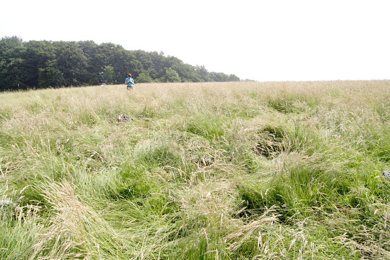 Kategorien: Datum: 08.06.2008