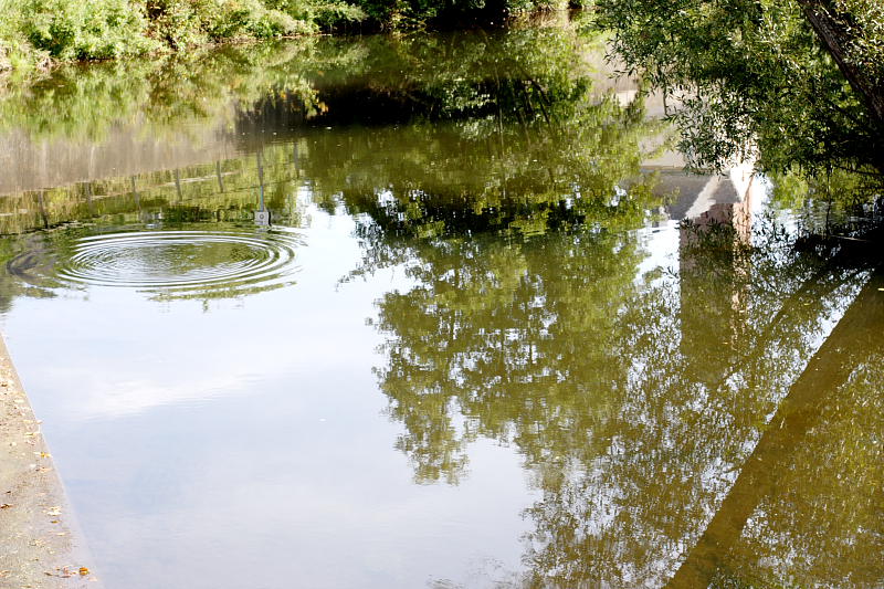 Lokation: Deutschland | Rheinland-Pfalz | Gerolstein | Gerolstein Kategorien: Datum: 31.08.2008