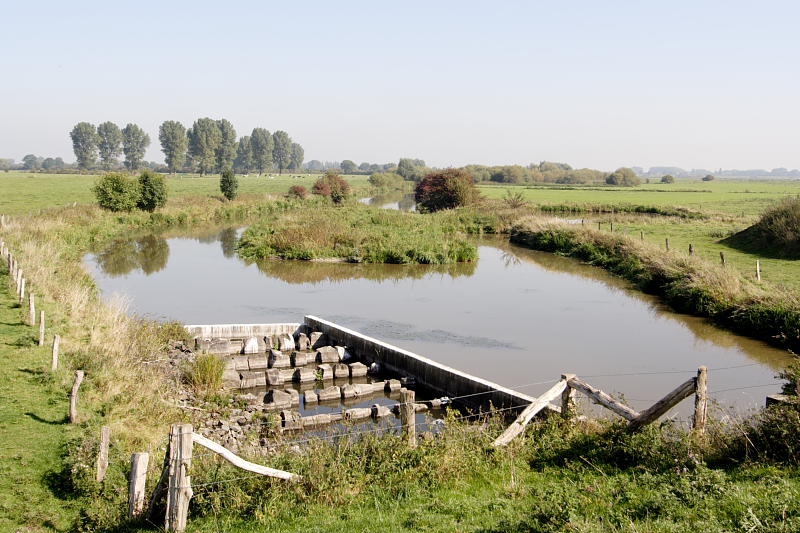 Lokation: Deutschland | Nordrhein-Westfalen | Emmerich | Grietherort Kategorien: Datum: 27.09.2008