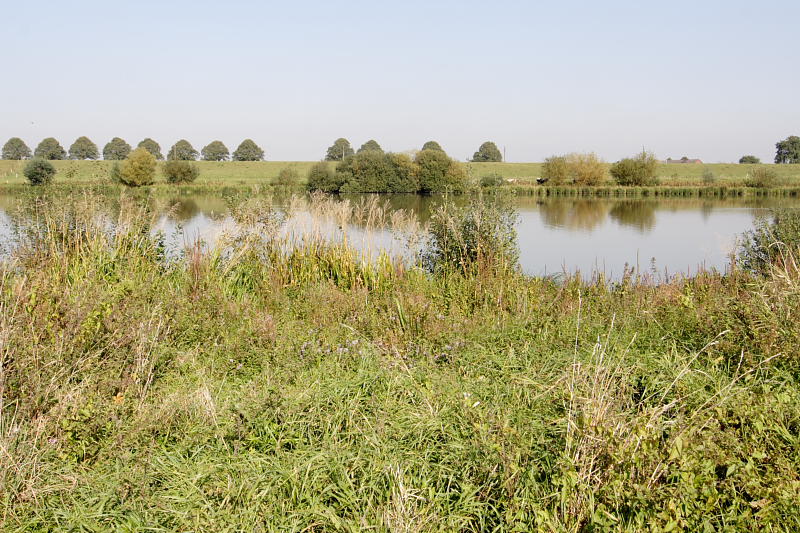 Lokation: Deutschland | Nordrhein-Westfalen | Rees | Offenberg Kategorien: Datum: 27.09.2008